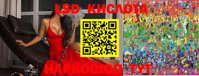 стаф Коммунар